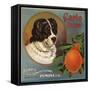 Carlo Brand - Pomona, California - Citrus Crate Label-Lantern Press-Framed Stretched Canvas