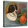 Carlo Brand - Pomona, California - Citrus Crate Label-Lantern Press-Stretched Canvas