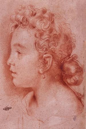 Portrait of Faustina Maratti