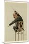 Wood Mount