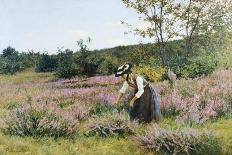 Heath in Full Bloom-Carlo Pollonera-Giclee Print