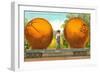 Carload of Mammoth Navel Oranges from California-null-Framed Art Print