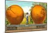 Carload of Mammoth Navel Oranges from California-null-Mounted Art Print