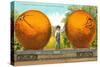 Carload of Mammoth Navel Oranges from California-null-Stretched Canvas