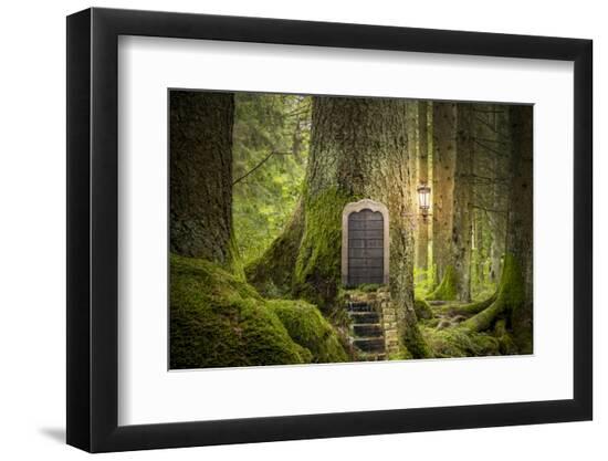 Photographic Print, , large
