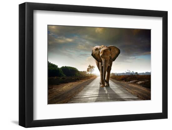 Photographic Print, , large