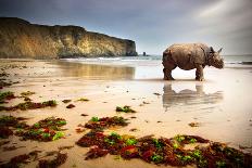 Surreal Scene of a Big Rhinoceros in an Empty Beach-Carlos Caetano-Framed Photographic Print