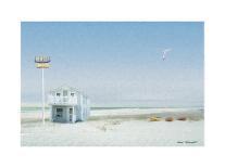 Seagulls on the Beach-Carlos Casamayor-Giclee Print