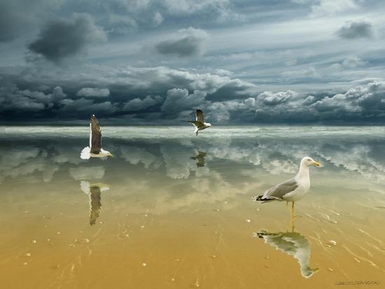 Premium Giclee Print, , large
