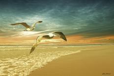 Seagulls on the Beach-Carlos Casamayor-Giclee Print
