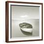 Brown Frame