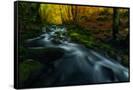 Canvas Black