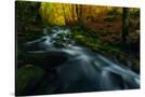 Stretched Canvas