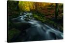 Stretched Canvas