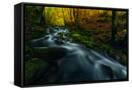 Canvas Black