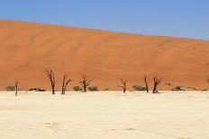 Sossusvlei Sand Dunes Landscape in the Nanib Desert near Sesriem-Carlos Neto-Photographic Print