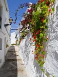 View of Mijas, White Town in Costa Del Sol, Andalusia, Spain-Carlos Sánchez Pereyra-Stretched Canvas