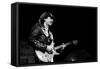 Carlos Santana, Rfh London, 1988-Brian O'Connor-Framed Stretched Canvas