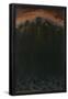 Essential Black