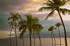 Hawaii Palm Sunset No. 1-Carlos Vargas-Photographic Print