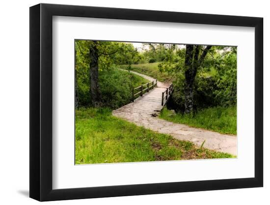 Premium Photographic Print, , large