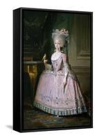 Carlota Joquina, Infanta of Spain and Queen of Portugal, 1785-Mariano Salvador Maella-Framed Stretched Canvas