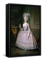 Carlota Joquina, Infanta of Spain and Queen of Portugal, 1785-Mariano Salvador Maella-Framed Stretched Canvas