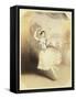 Carlotta Grisi-John Brandard-Framed Stretched Canvas