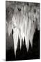 Carlsbad Cavern I BW-Douglas Taylor-Mounted Photographic Print