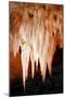 Carlsbad Cavern I-Douglas Taylor-Mounted Premium Photographic Print