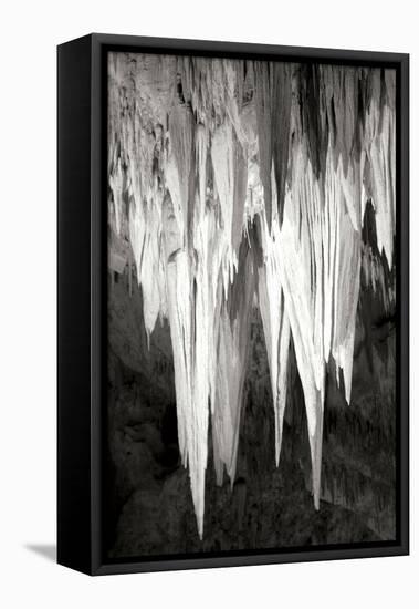 Carlsbad Cavern II BW-Douglas Taylor-Framed Stretched Canvas