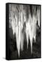 Carlsbad Cavern II BW-Douglas Taylor-Framed Stretched Canvas