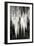 Carlsbad Cavern II BW-Douglas Taylor-Framed Premium Photographic Print
