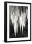 Carlsbad Cavern II BW-Douglas Taylor-Framed Premium Photographic Print