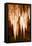 Carlsbad Cavern II-Douglas Taylor-Framed Stretched Canvas