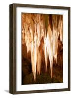Carlsbad Cavern II-Douglas Taylor-Framed Photographic Print