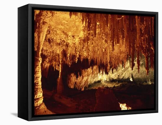 Carlsbad Caverns, Carlsbad Caverns National Park, UNESCO World Heritage Site, New Mexico, USA-Woolfitt Adam-Framed Stretched Canvas
