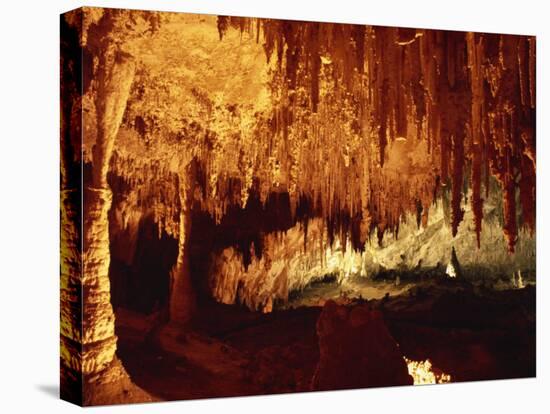 Carlsbad Caverns, Carlsbad Caverns National Park, UNESCO World Heritage Site, New Mexico, USA-Woolfitt Adam-Stretched Canvas