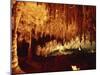 Carlsbad Caverns, Carlsbad Caverns National Park, UNESCO World Heritage Site, New Mexico, USA-Woolfitt Adam-Mounted Premium Photographic Print