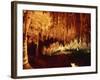 Carlsbad Caverns, Carlsbad Caverns National Park, UNESCO World Heritage Site, New Mexico, USA-Woolfitt Adam-Framed Photographic Print