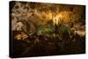 Carlsbad Caverns, Carlsbad Caverns National Park, UNESCO World Heritage Site, New Mexico, USA-Michael Runkel-Stretched Canvas