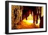 Carlsbad Caverns National Park in USA-Andrushko Galyna-Framed Premium Photographic Print