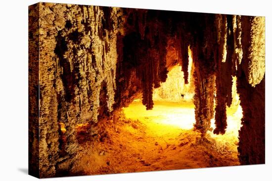 Carlsbad Caverns National Park in USA-Andrushko Galyna-Stretched Canvas