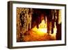 Carlsbad Caverns National Park in USA-Andrushko Galyna-Framed Photographic Print