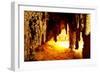 Carlsbad Caverns National Park in USA-Andrushko Galyna-Framed Photographic Print