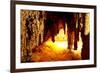 Carlsbad Caverns National Park in USA-Andrushko Galyna-Framed Photographic Print