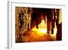 Carlsbad Caverns National Park in USA-Andrushko Galyna-Framed Photographic Print