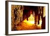 Carlsbad Caverns National Park in USA-Andrushko Galyna-Framed Photographic Print