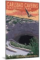 Carlsbad Caverns National Park, New Mexico - Natural Entrance-Lantern Press-Mounted Art Print