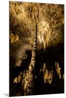 Carlsbad Caverns, The Big Room, Carlsbad, New Mexico, USA-Laura Grier-Mounted Premium Photographic Print